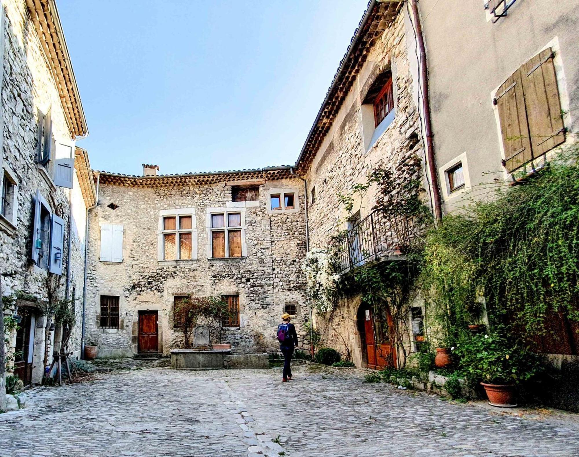 Hotel Le Dauphine Châtillon-en-Diois Exterior foto